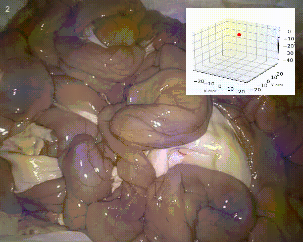 Pig intestine scene with zoom-in camera trajectory overlay