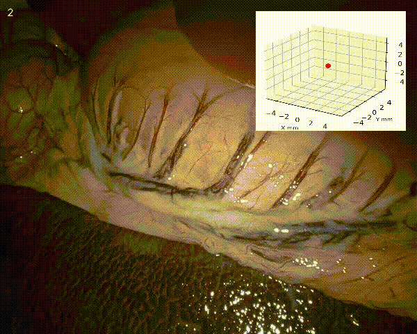 Scene with zoom-in camera trajectory overlay